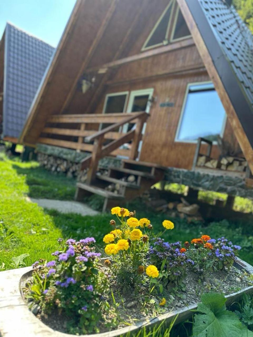 Cabanutze Satic Chalet Rucăr