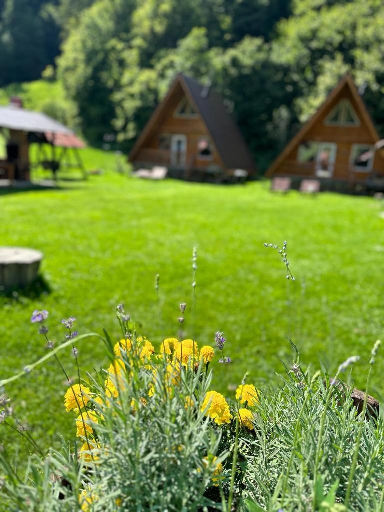 Cabanutze Satic Rucăr