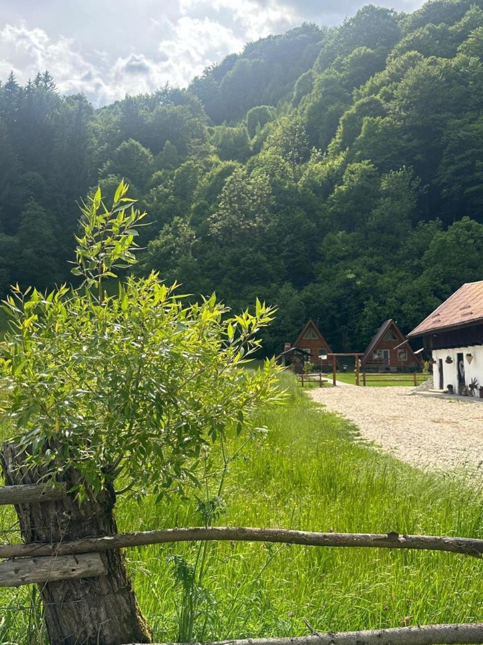 Cabanutze Satic
